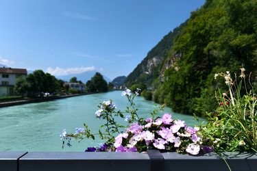 Similar image 22627719