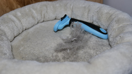 Similar image 22627720