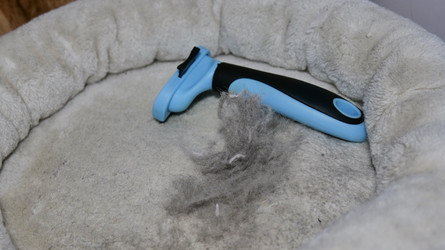 Similar image 22627724