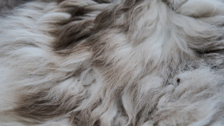 Similar image 22627737