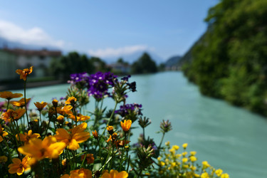 Similar image 22627738