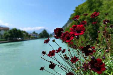 Similar image 22627740