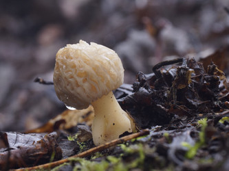 Similar image 22622501