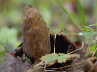 Similar image 22622502