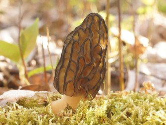 Similar image 22622503