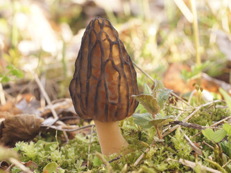 Similar image 22622504