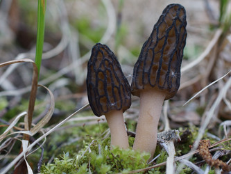 Similar image 22622505