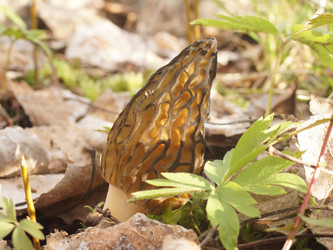 Similar image 22622506