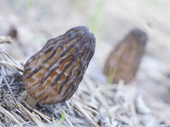 Similar image 22622507