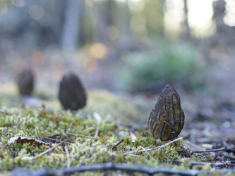 Similar image 22622508