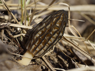 Similar image 22622509