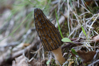 Similar image 22622510