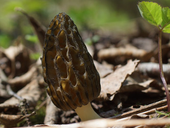 Similar image 22622511