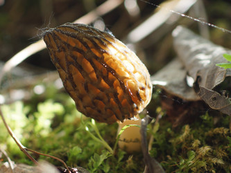 Similar image 22622512