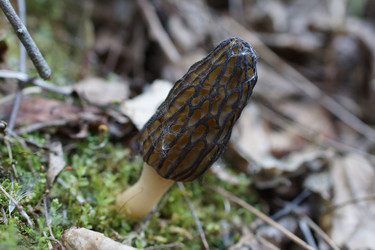 Similar image 22622513