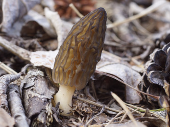 Similar image 22622514