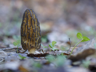 Similar image 22622516