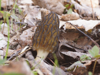 Similar image 22622517