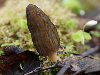 Similar image 22622518