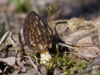 Similar image 22622519