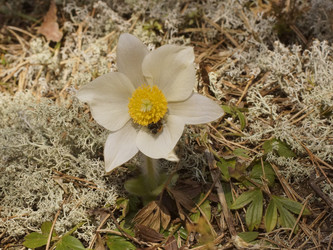 Similar image 22622520