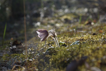 Similar image 22622521