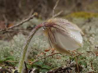 Similar image 22622522