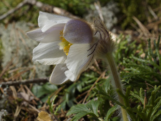 Similar image 22622523