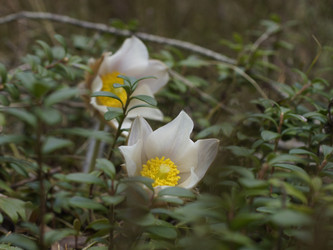 Similar image 22622524