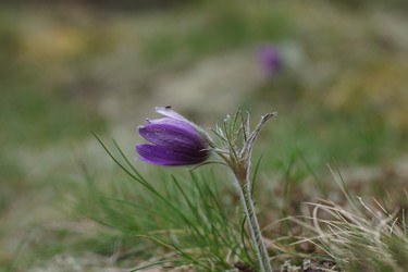 Similar image 22622530