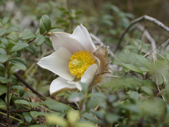 Similar image 22622531