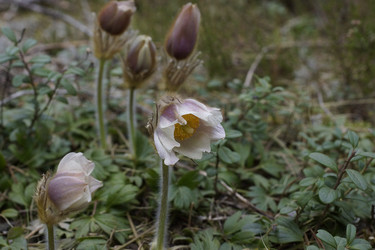 Similar image 22622532