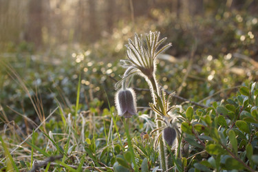 Similar image 22622533