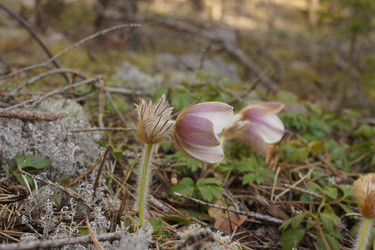 Similar image 22622534