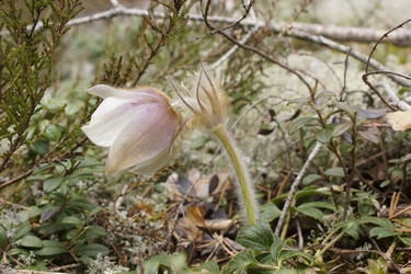 Similar image 22622535