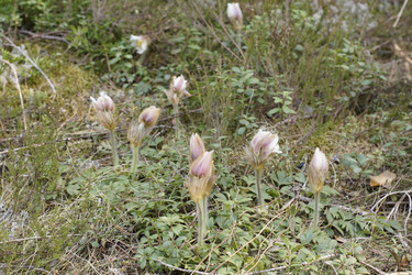 Similar image 22622536