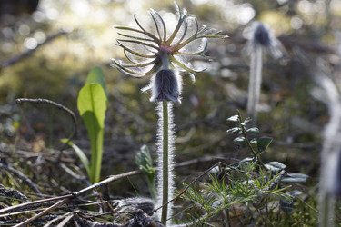 Similar image 22622537