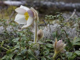 Similar image 22622538