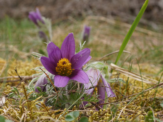 Similar image 22622402