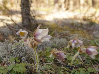 Similar image 22622403