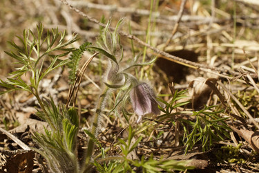 Similar image 22622404