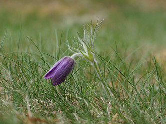 Similar image 22622405