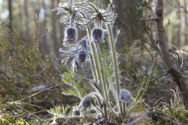 Similar image 22622406