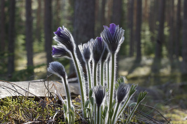 Similar image 22622407