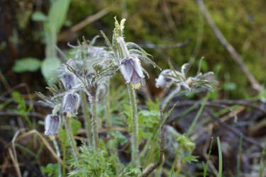 Similar image 22622408