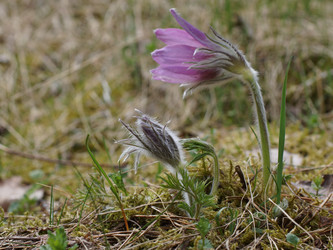 Similar image 22622409