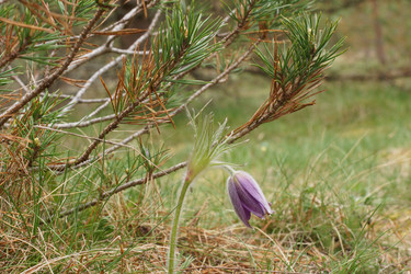 Similar image 22622410