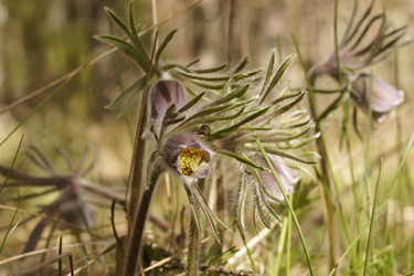 Similar image 22622411