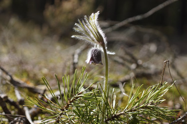 Similar image 22622412