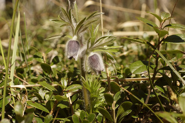 Similar image 22622413